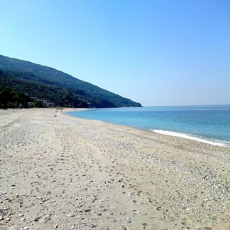 Guesthouse Theareston 자고라 외부 사진